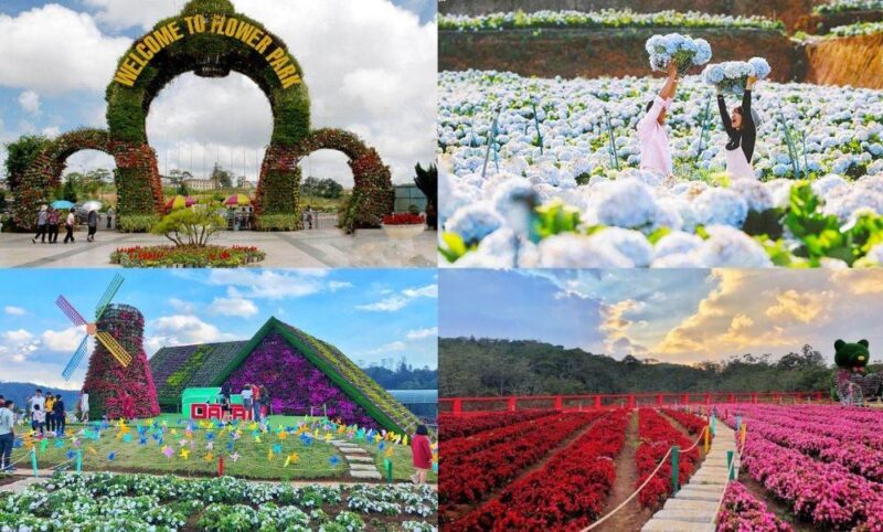 Bức tranh vẽ tay ngôi nhà mơ ước với khu vườn ngập tràn hoa và ánh nắng ấm áp lung linh