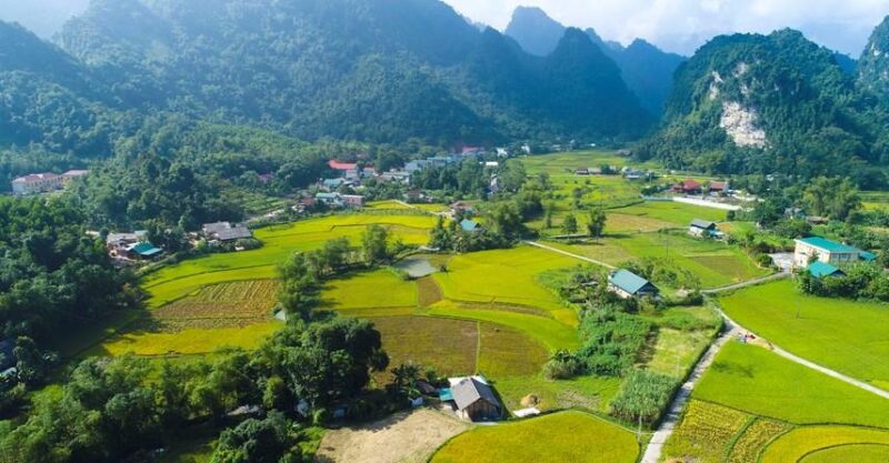 Tranh vẽ đề tài bảo vệ rừng với những cánh rừng nguyên sinh bạt ngàn và hệ động thực vật phong phú