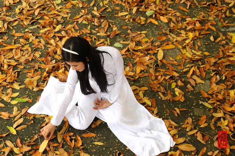 Bức tranh vẽ phong cảnh mùa thu đơn giản với con đường ngập lá vàng và hàng cây khẳng khiu