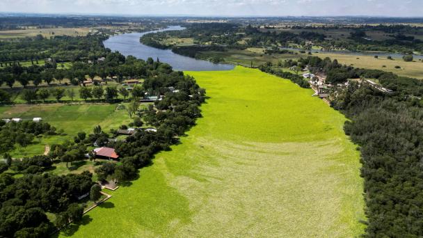 Bức vẽ tranh phong cảnh anime rực rỡ với bầu trời hoàng hôn và cánh đồng hoa oải hương