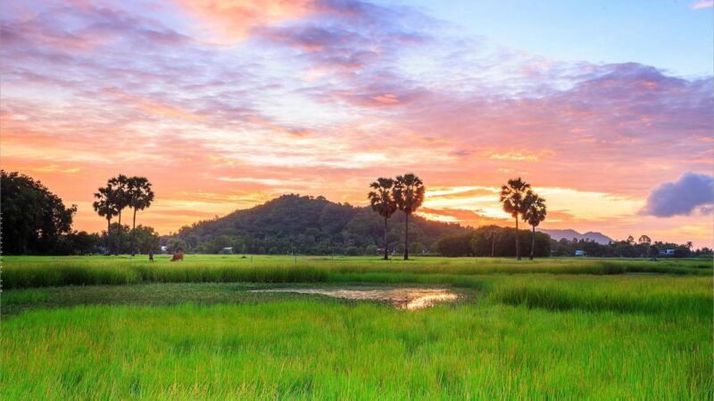 Khám phá ý tưởng vẽ tranh phong cảnh lớp 9 ấn tượng Bức vẽ tranh phong cảnh lớp 9 thể hiện khung cảnh làng quê Việt Nam yên bình với mái nhà tranh, lũy tre xanh và dòng sông nhỏ