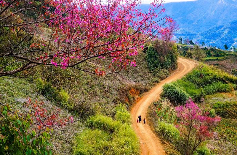 Vẽ Tranh Phong Cảnh Mùa Xuân: Cảm Hứng Bất Tận Từ Thiên Nhiên Bức tranh phong cảnh mùa xuân rực rỡ với trăm hoa đua nở và ánh nắng ấm áp