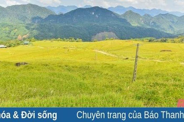 Khơi Nguồn Cảm Hứng Vẽ Tranh Quê Hương Đất Nước Tuyệt Đẹp Bức tranh vẽ quê hương đất nước với cánh đồng lúa vàng ươm trải dài ngút ngàn dưới ánh nắng chiều