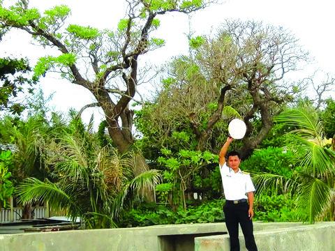 Tranh vẽ khu rừng xanh tươi mát với cây cối um tùm và động vật sinh sống, kêu gọi bảo vệ môi trường