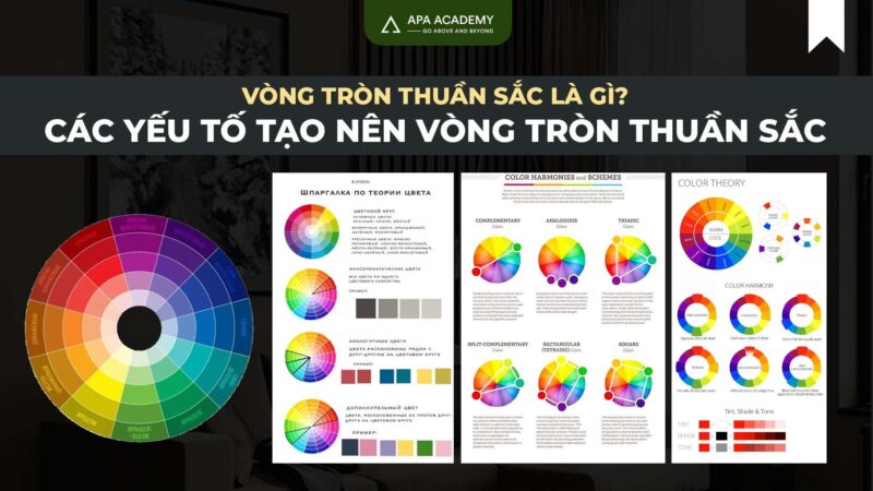 Vòng thuần sắc cơ bản trong hội họa hiển thị các loại màu sắc chính và mối quan hệ giữa chúng
