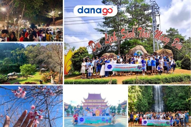 Ý tưởng vẽ rừng thông tối giản với sương mù và màu sắc nhẹ nhàng