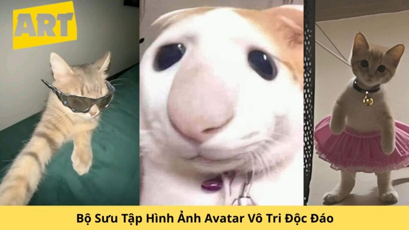 Bộ Sưu Tập Hình Ảnh Avatar Vô Tri Độc Đáo