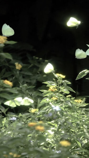 Ảnh Chill Mang Đến Cảm Giác Bình Yên Tuyệt Vời ảnh chill