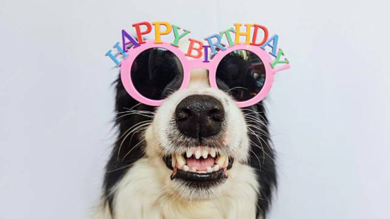 Ảnh chúc mừng sinh nhật bá đạo với hình ảnh nhân vật vui nhộn