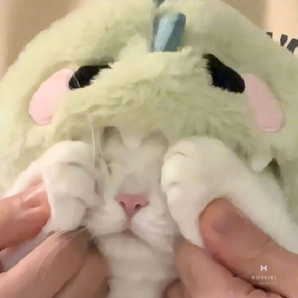 Ảnh đại diện mèo con dễ thương với vẻ mặt ngộ nghĩnh