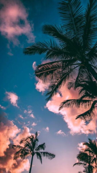 Ảnh màn hình điện thoại với họa tiết trừu tượng màu xanh và tím