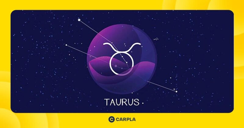 Bảng màu đất tự nhiên, xanh lá cây, nâu hợp phong thủy cung Kim Ngưu