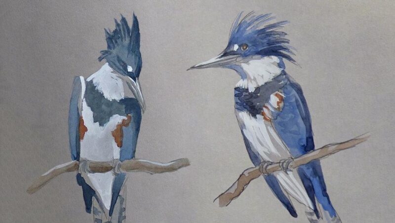 Một bảng màu với các sắc thái nâu đỏ, cam cháy, và gỉ sắt được sắp xếp