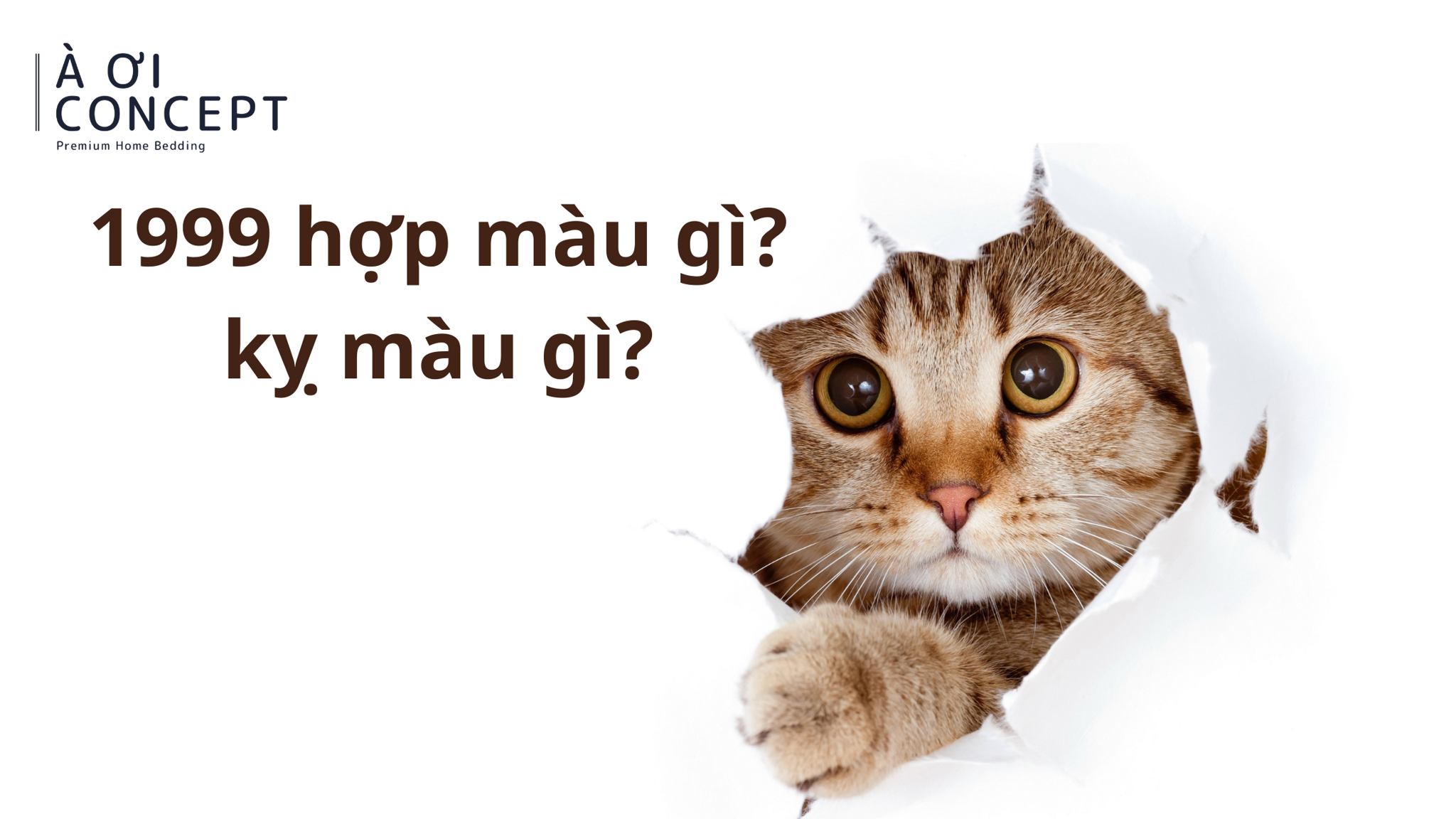 Bảng màu phong thủy hợp với nam sinh năm 1999 theo nguyên tắc tương sinh bản mệnh