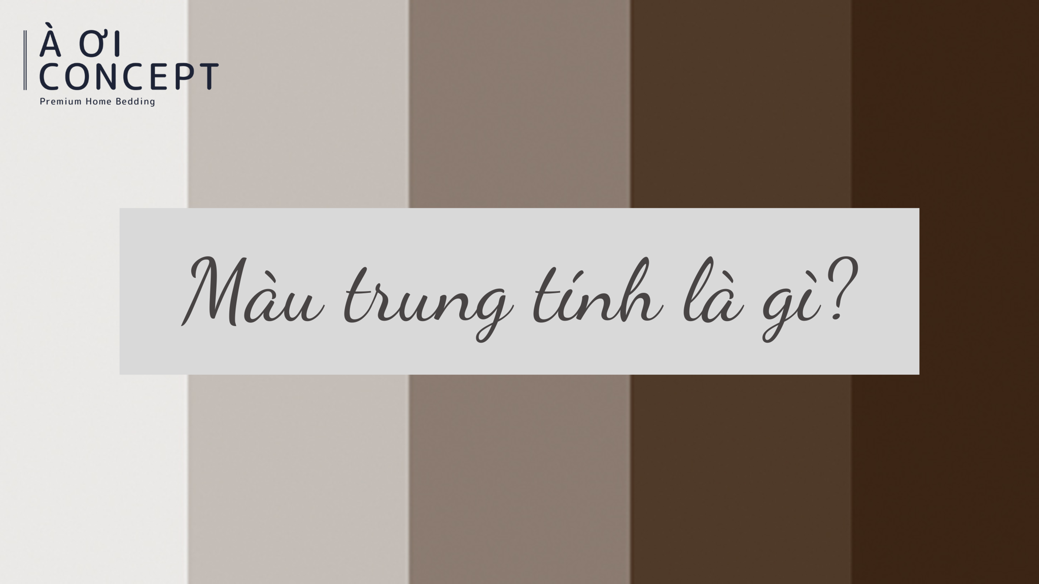 Bảng màu xám ghi và các sắc thái trung tính đa dạng tinh tế