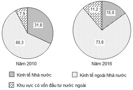 Biểu đồ tròn thể hiện cơ cấu doanh thu du lịch lữ hành năm 2010 và 2016