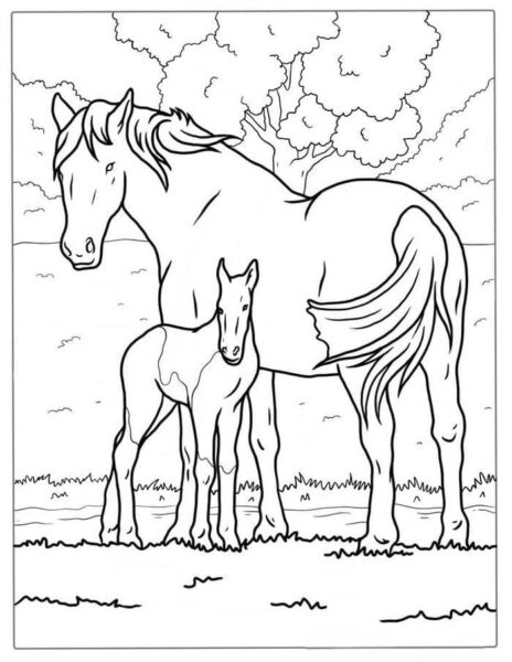 Bức tranh tô màu con ngựa đáng yêu dành cho bé