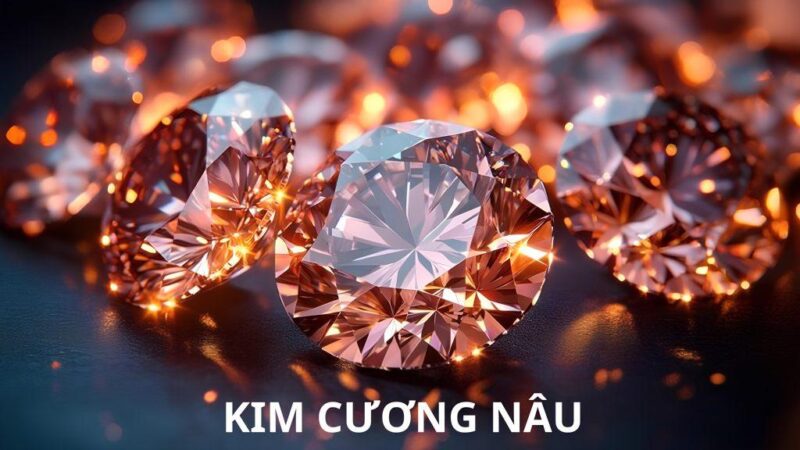 Các sắc thái màu brown trong thiên nhiên, biểu tượng của đất và sự ổn định