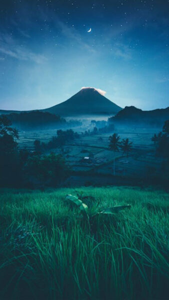 Cảnh đồng lúa dưới ánh nắng bình minh với tông màu lofi dịu nhẹ