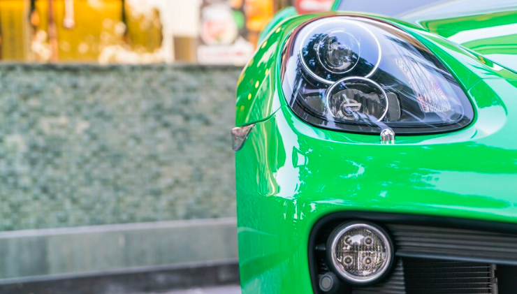 Chon mau xanh Tet binh an sinh soi phat trien