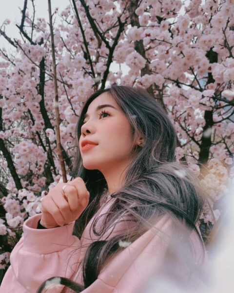 Cô gái Hàn xinh tươi tắn bên cành hoa anh đào nở rộ