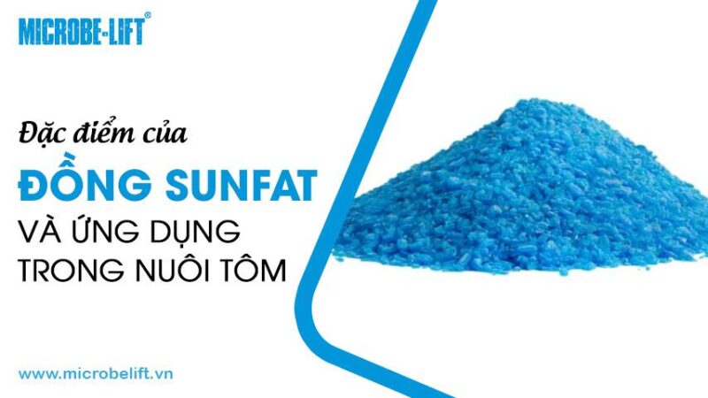 Tim hieu dung dich cuso4 co mau gi va sac xanh dac trung cua no