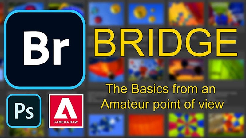 Adobe Bridge là gì? Công cụ quản lý tài nguyên hiệu quả cho người làm sáng tạo Giao diện chính của phần mềm Adobe Bridge, hiển thị các tệp và thư mục quản lý tài nguyên số