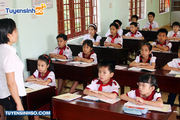 Ngành Giáo dục Tiểu học: Thông tin Toàn diện Giáo dục Tiểu học