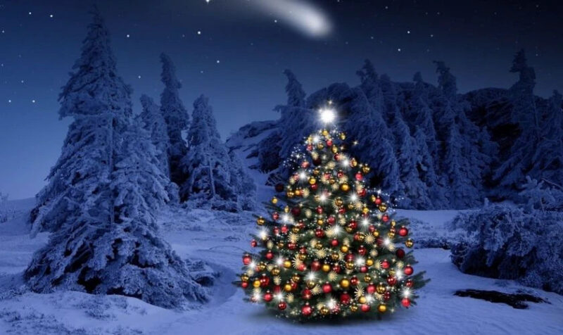 Hình ảnh cây thông Noel được trang trí lộng lẫy