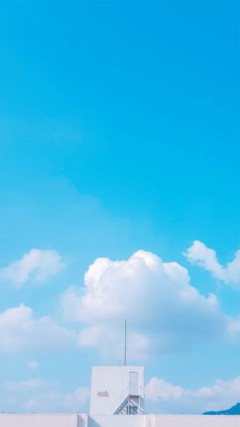 Hình ảnh cute mèo con màu xanh dương dễ thương làm hình nền điện thoại