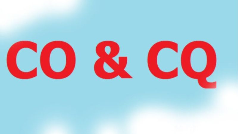 Hình ảnh minh họa giấy tờ chứng nhận xuất xứ CO và chứng nhận chất lượng CQ trong xuất nhập khẩu