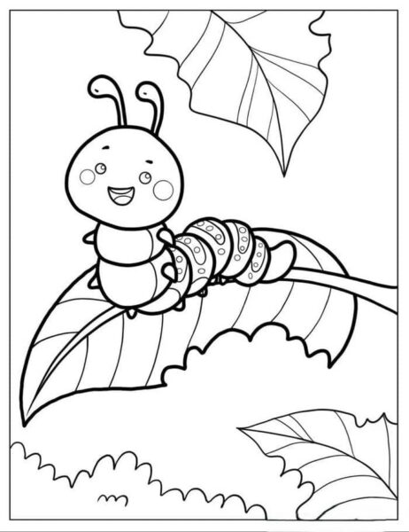 Hình ảnh tranh tô màu con sâu đơn giản cho bé mới bắt đầu