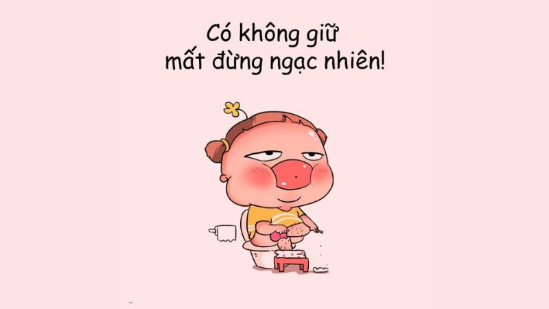 hình ảnh vui nhộn