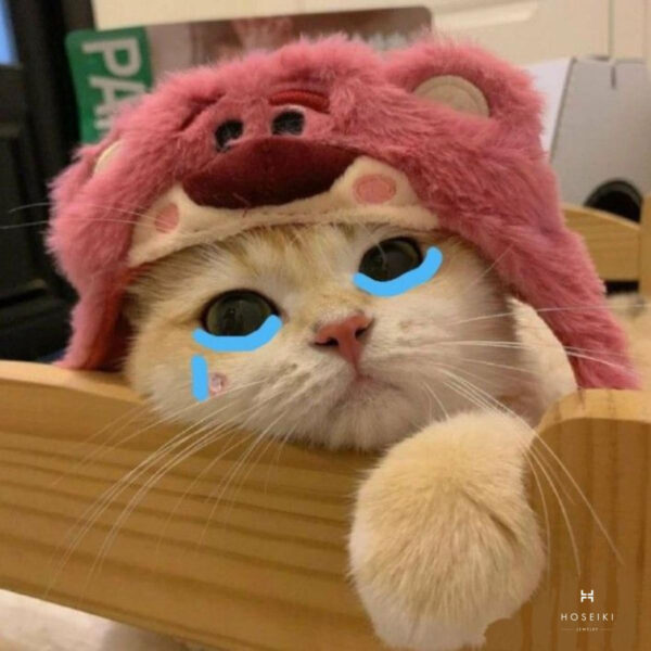 Hình mèo cute với đôi mắt to tròn, màu xanh biếc nhìn thẳng