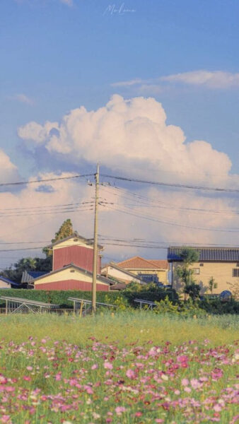 Hình nền điện thoại phong cách vintage với sách cũ và hoa khô