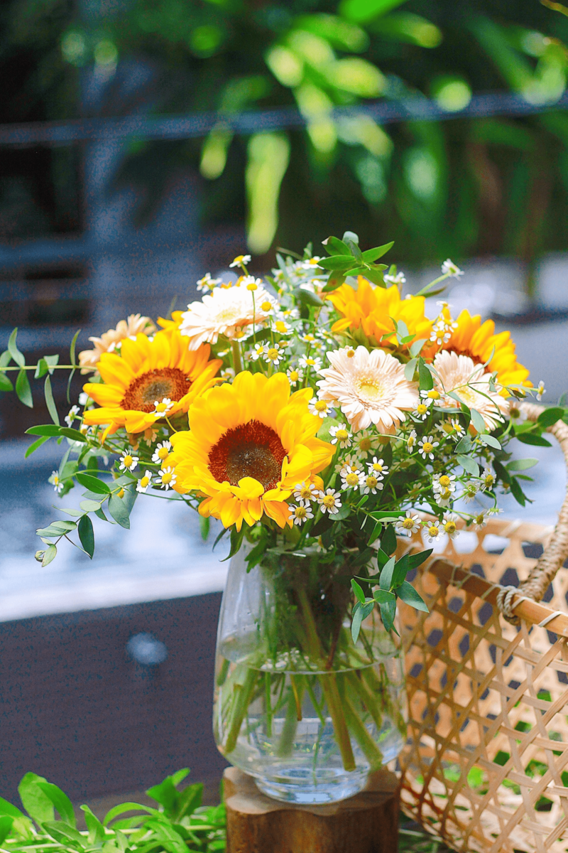 Hình ảnh hoa hướng dương có màu gì, biểu tượng của sự lạc quan và năng lượng