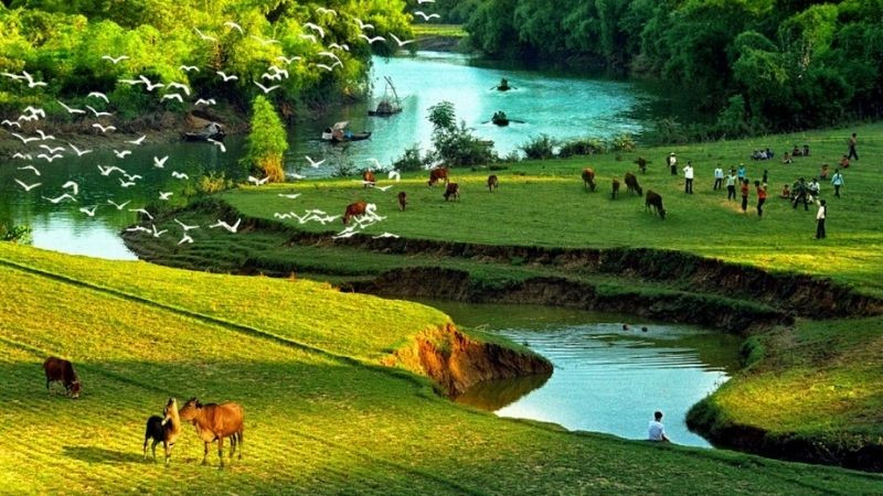 Khung cảnh làng quê Việt Nam yên bình và mộc mạc