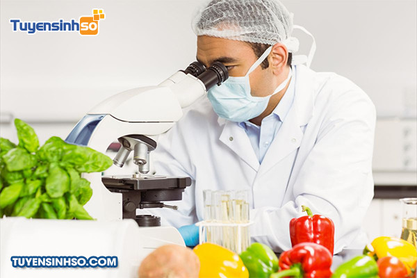 Ngành Công nghệ Thực Phẩm: Khám phá chi tiết Kỹ sư, chuyên gia làm việc trong phòng thí nghiệm công nghệ thực phẩm