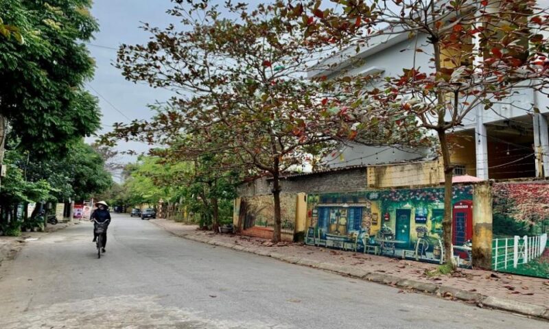 Những chiếc lá bàng mang sắc đỏ và nâu đặc trưng của mùa đông