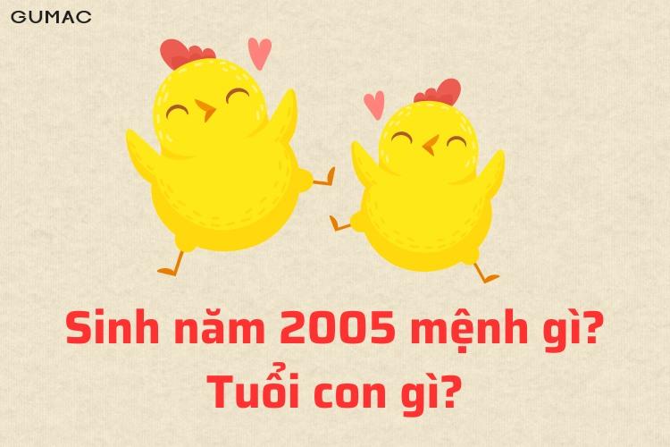 Màu sắc hợp với tuổi 2005 theo phong thủy mang lại may mắn và tài lộc