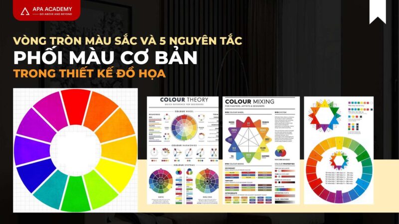 Tìm hiểu màu lạnh là màu gì qua các sắc thái cơ bản trên vòng tròn màu