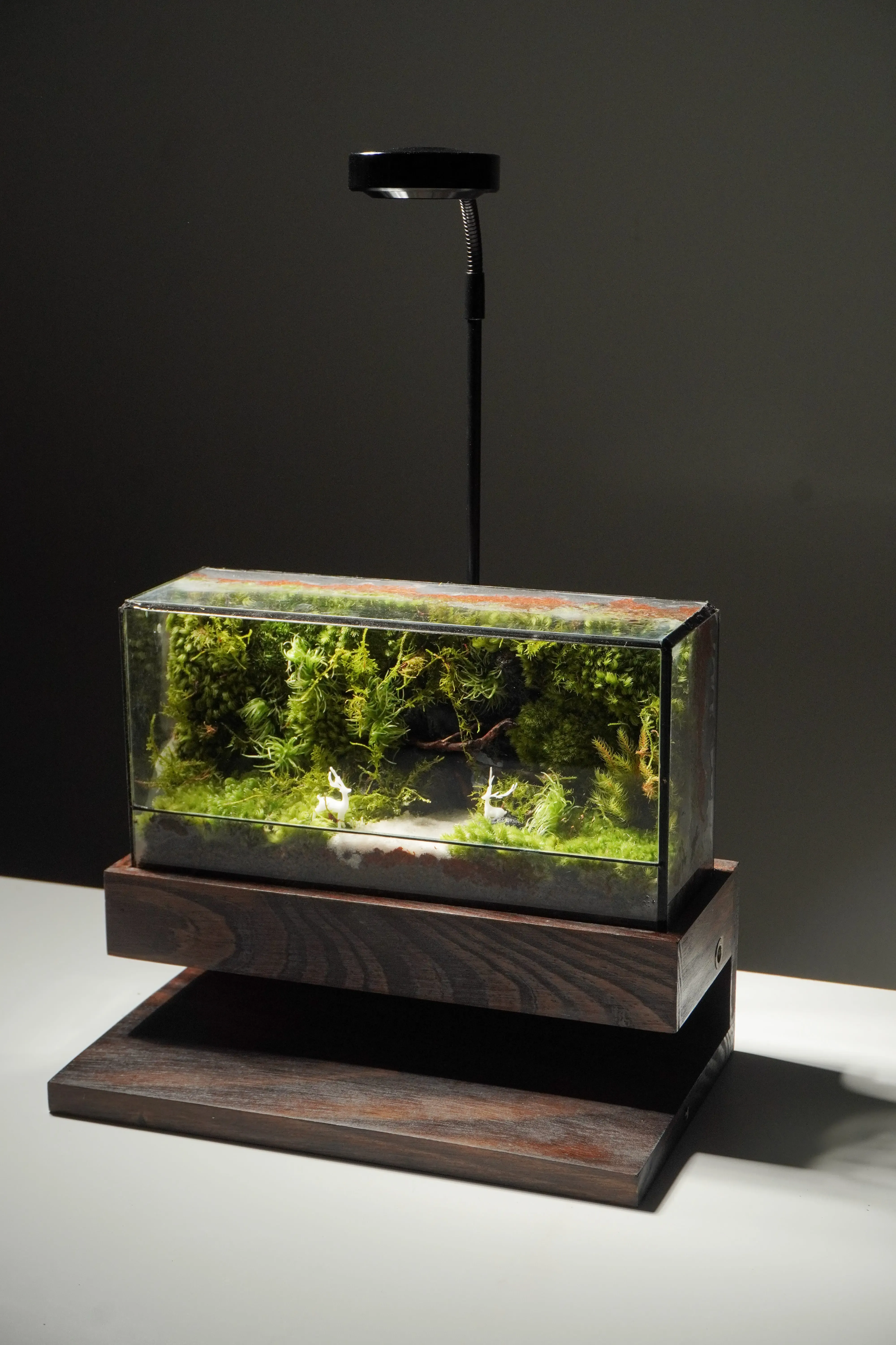 Mau reu bieu tuong thien nhien yen binh va ve dep co dien