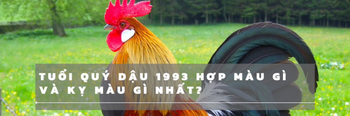 Màu sắc tương sinh và tương hợp với người tuổi Quý Dậu 1993 mệnh Kim