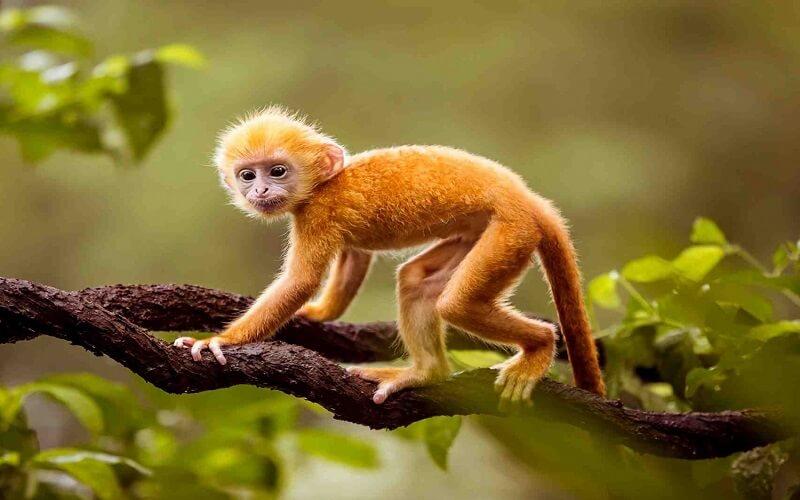 Màu sắc phong thủy tương sinh tương hợp với người mệnh Thủy tuổi Giáp Thân 2004