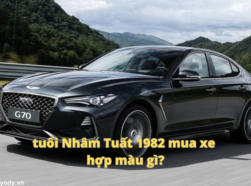 Màu sắc tương sinh và tương hợp mang lại may mắn cho người tuổi Nhâm Tuất 1982 mệnh Đại Hải Thủy năm 2024