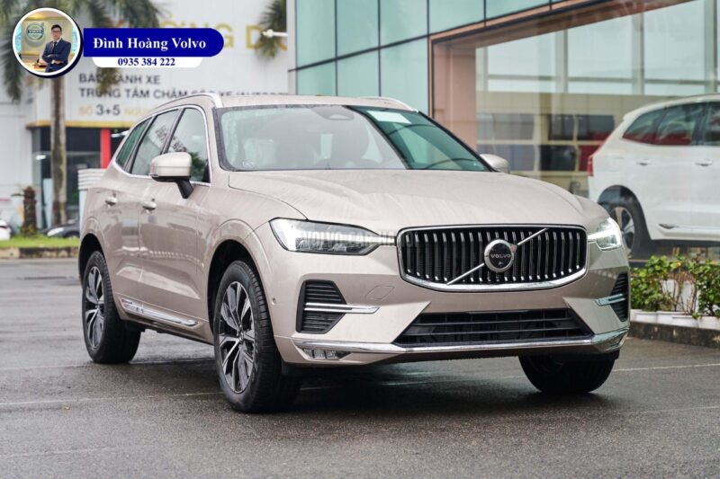 Hinh anh minh hoa sac xanh duong den la cay cho nu sinh nam 1988