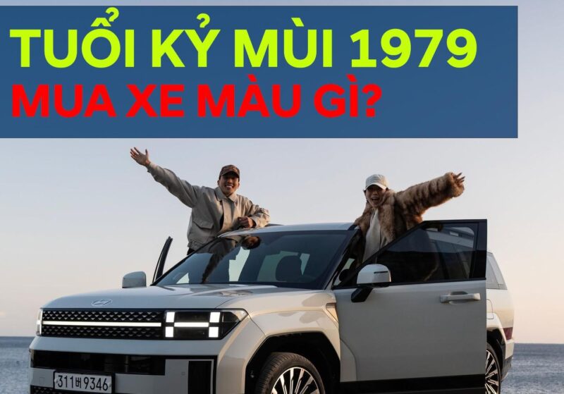 Mau sac phong thuy hop voi nguoi tuoi 79 Ky Mui mang lai may man cho cuoc song.