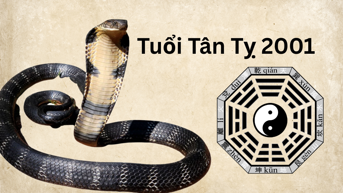 Những màu sắc may mắn cho người tuổi Tân Tỵ năm 2025 dựa trên nguyên tắc Ngũ Hành