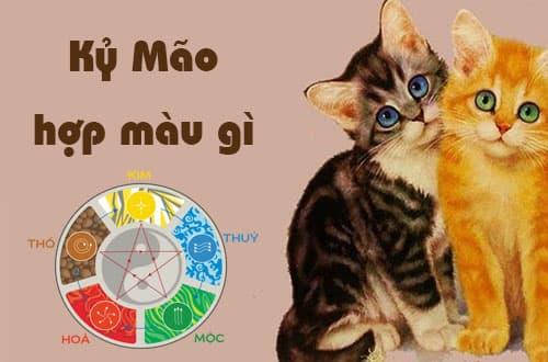 Màu sắc mang lại may mắn cho người tuổi Mão 1999 trong năm 2023