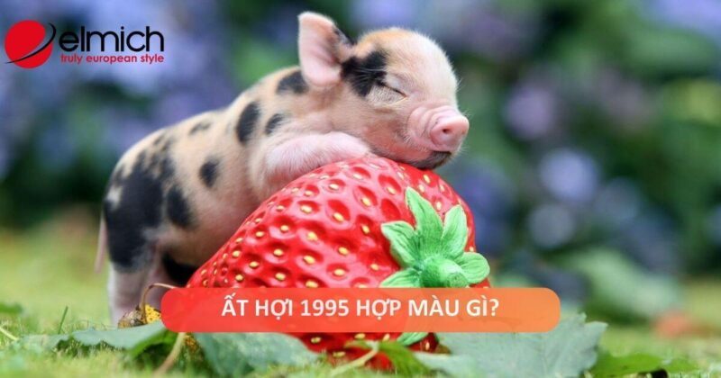 Màu sắc hợp mệnh hỏa tuổi ất hợi 1995 mang lại may mắn